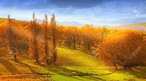 Autumn new zealand