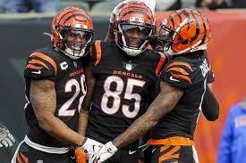 Cincinnati bengals