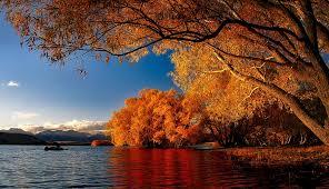 New zealand autumn